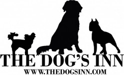 The Dog's Inn logo