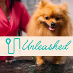 Unleashed Dog Salon logo