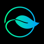 Revive Aesthetics logo