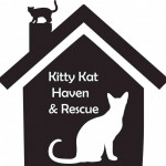 Kitty Kat Haven & Rescue logo