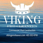 Viking Pro Cleaners logo