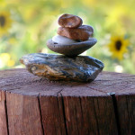 New Mexico Spirit of Wellness logo