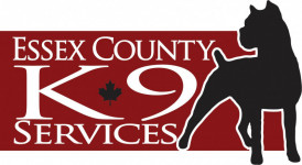 Essex County K9 logo